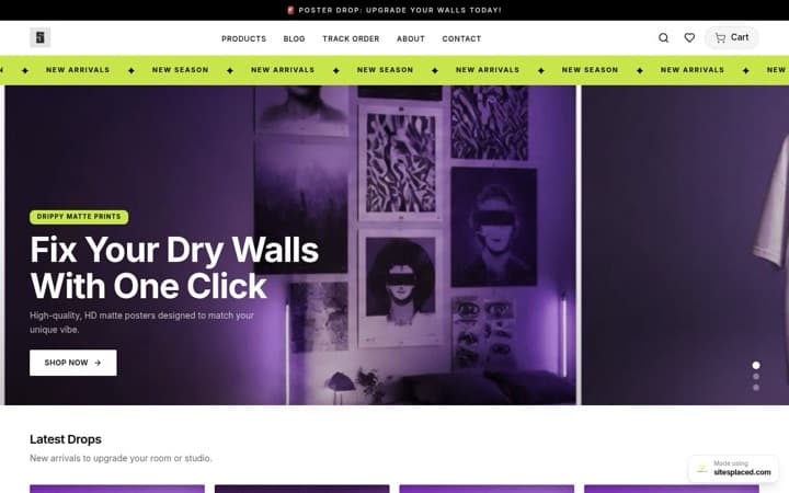 SNAPNSTIX — a live store built and published on SitesPlaced