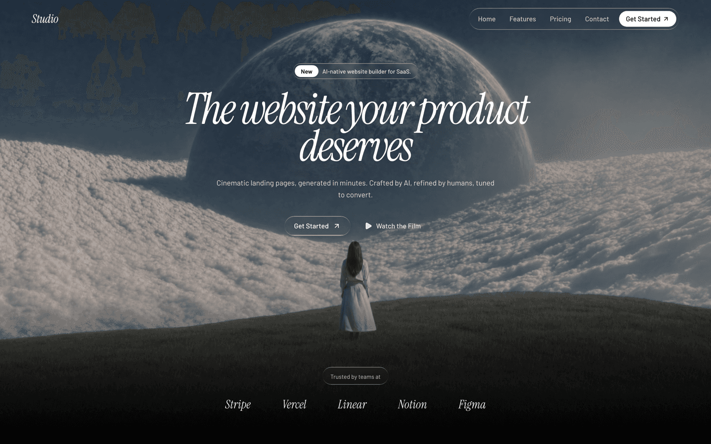 SaaS Noir