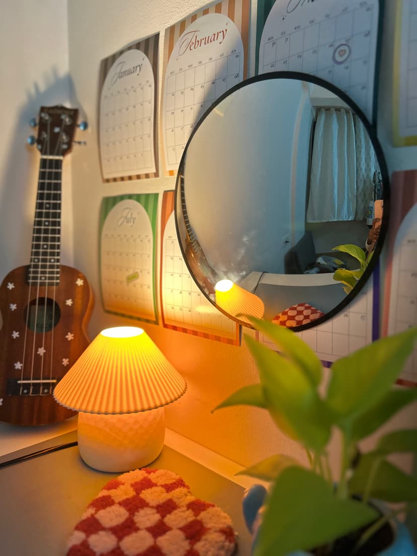 Main Character Convex Mirror