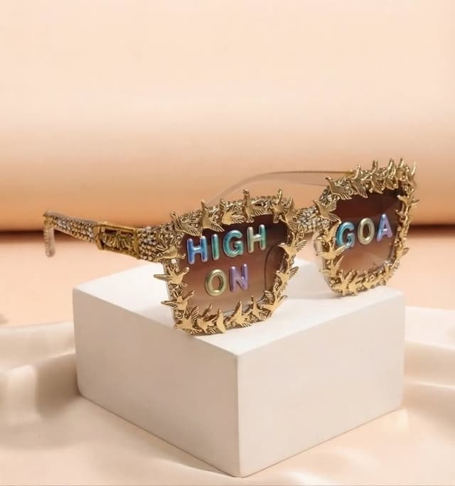 Aviator Bird Charm Custom Frames