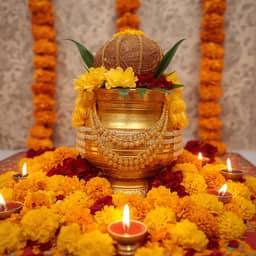 Rajveda product