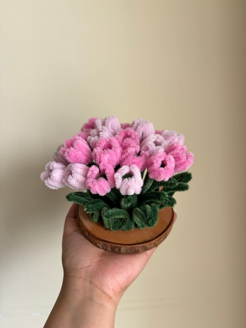 Dancing tulips🌷