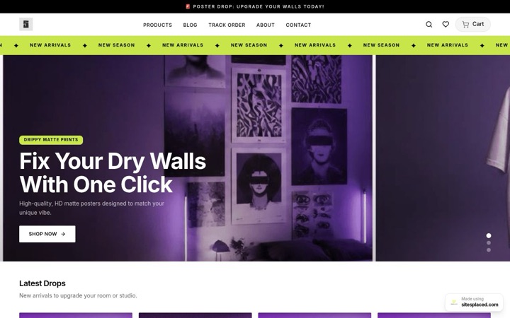 SNAPNSTIX — a real store built and published on SitesPlaced